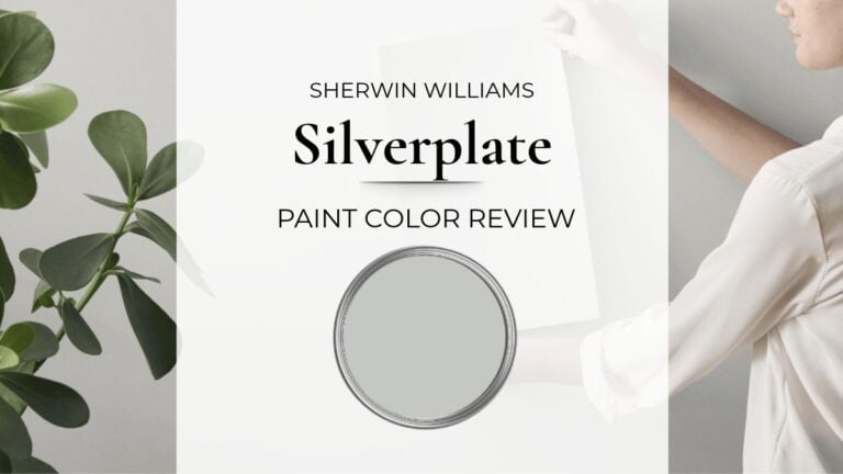 Sherwin Williams Silverplate paint color review